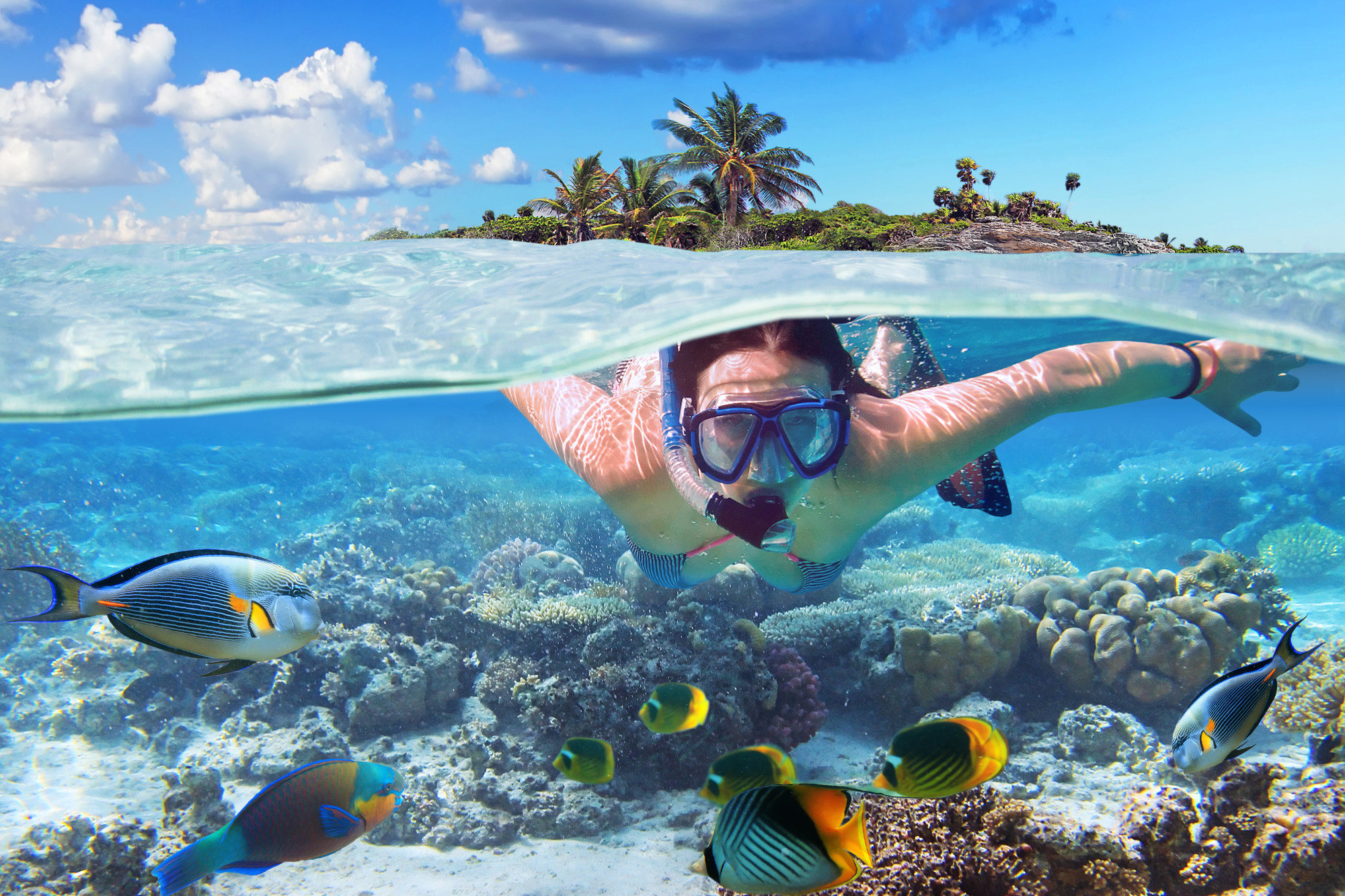 Young Woman Snorkeling in St Pete