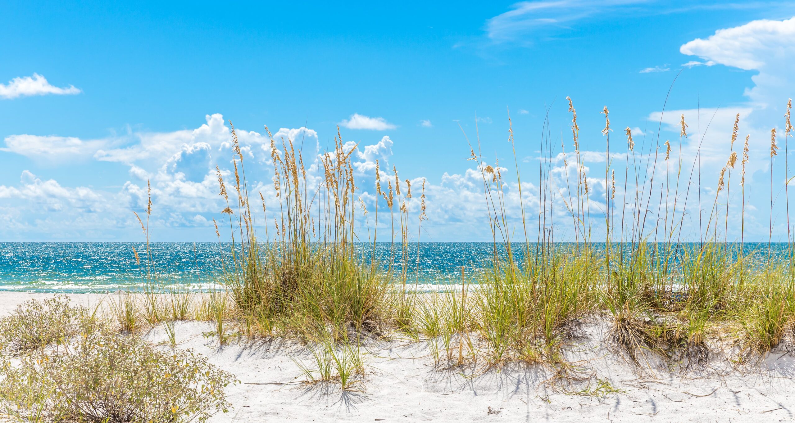 Summer Activities in Madeira Beach 2023