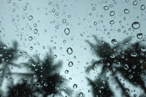 rain on window with palm trees outside.